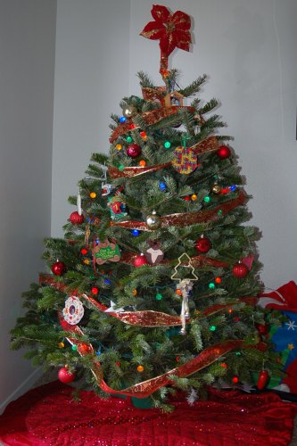 The tree we got last week is helping to make our Christmas more cheery in our new home. (Photo by John G. Miller)